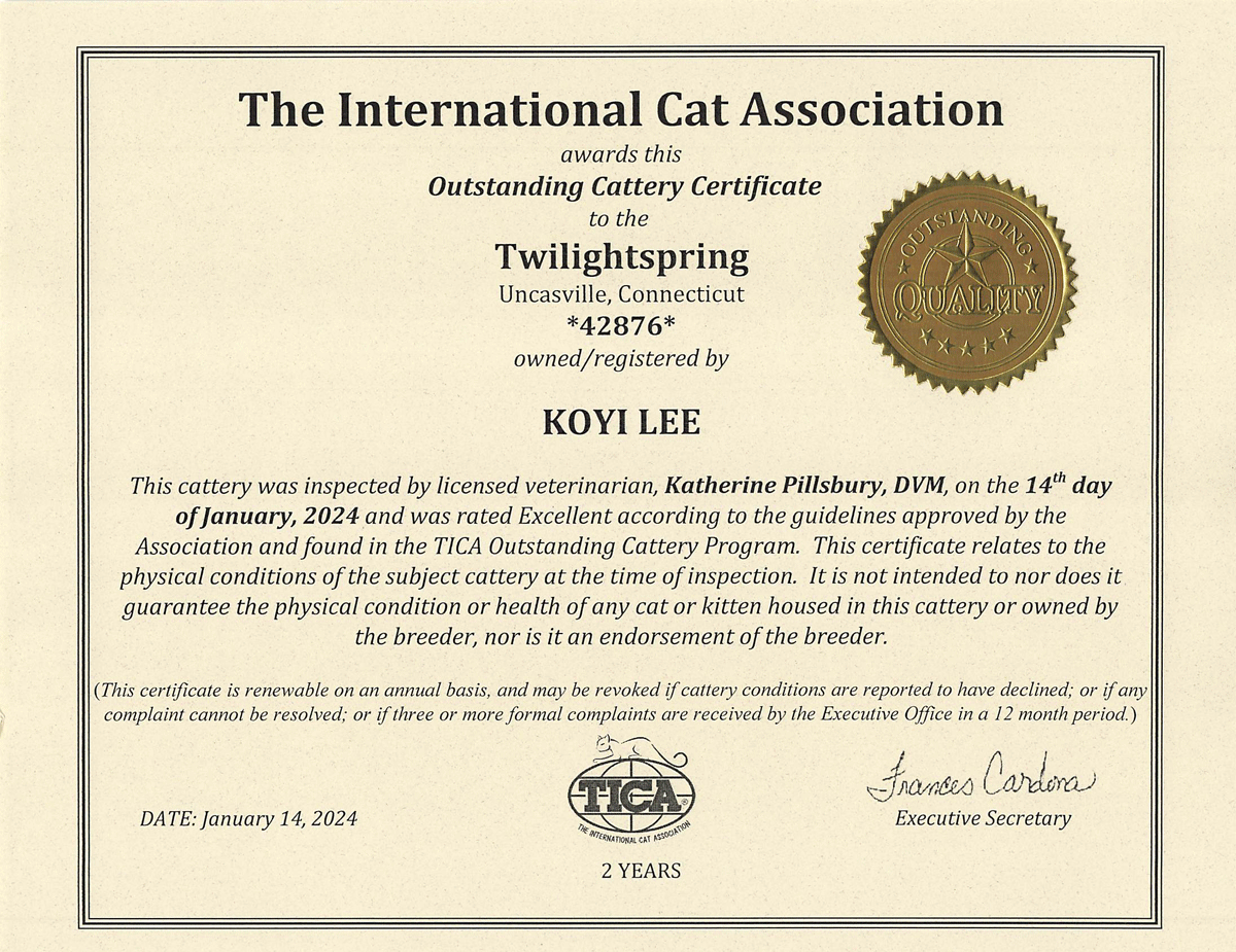 Twilight-et-Spring-Outstanding-Cattery-Certificate